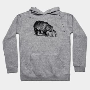 Grizzly Bear Hoodie